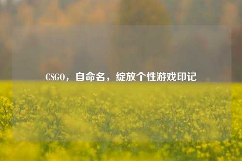 CSGO，自命名，绽放个性游戏印记