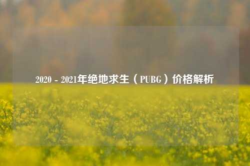 2020 - 2021年绝地求生（PUBG）价格解析