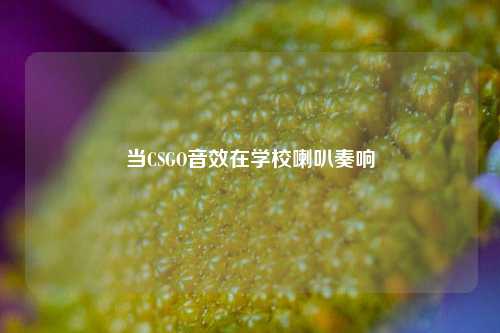当CSGO音效在学校喇叭奏响