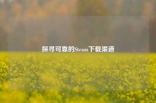 探寻可靠的Steam下载渠道