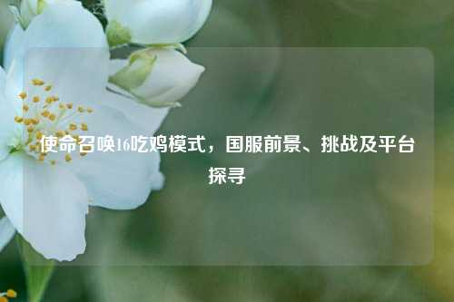 使命召唤16吃鸡模式，国服前景、挑战及平台探寻