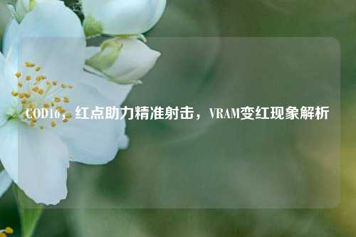 COD16，红点助力精准射击，VRAM变红现象解析