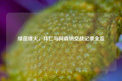 绿茵烽火，拜仁与阿森纳交战记录全览