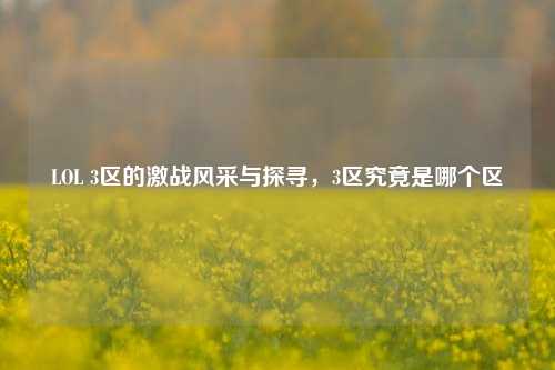 LOL 3区的激战风采与探寻，3区究竟是哪个区