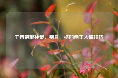 王者荣耀孙策，别具一格的倒车入库技巧