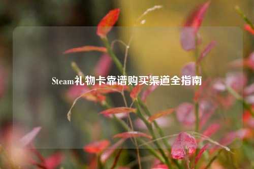 Steam礼物卡靠谱购买渠道全指南