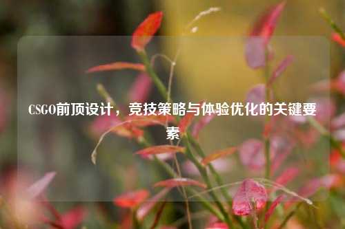 CSGO前顶设计,竞技策略与体验优化的关键要素
