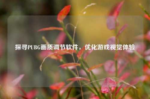 探寻PUBG画质调节软件，优化游戏视觉体验