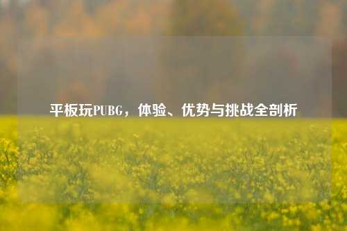 平板玩PUBG，体验、优势与挑战全剖析