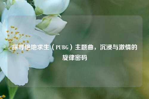 探寻绝地求生（PUBG）主题曲，沉浸与     的旋律密码
