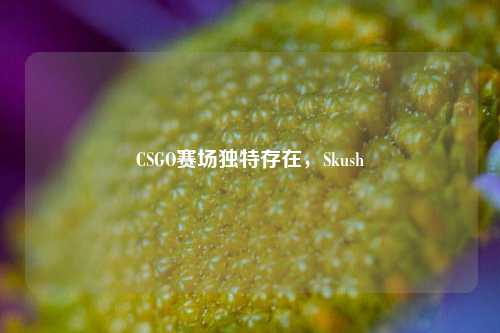 CSGO赛场独特存在，Skush