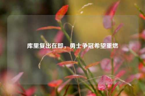 库里复出在即，勇士争冠希望重燃