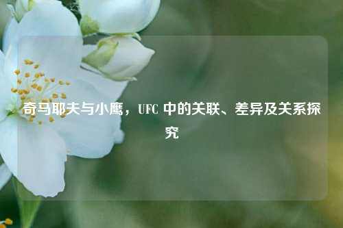 奇马耶夫与小鹰，UFC 中的关联、差异及关系探究