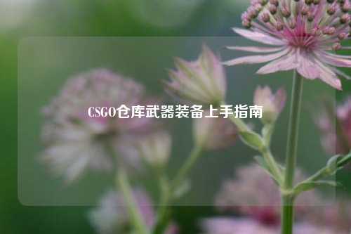 CSGO仓库武器装备上手指南