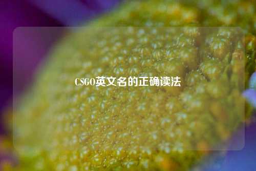 CSGO英文名的正确读法