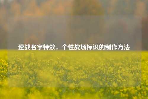 逆战名字特效，个性战场标识的          