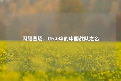 闪耀赛场，CS:GO中的中国战队之名