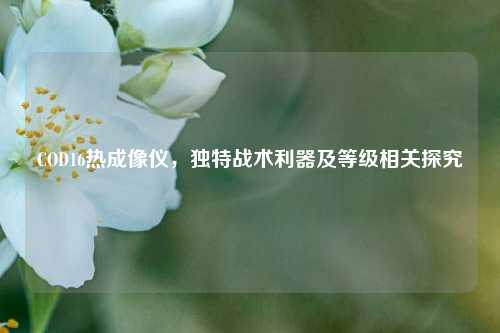 COD16热成像仪,独特战术利器及等级相关探究