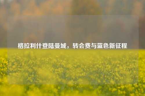 格拉利什登陆曼城,转会费与蓝色新征程