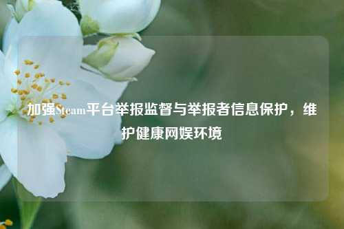加强Steam平台举报监督与举报者信息保护,维护健康网娱环境