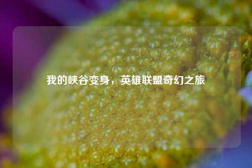 我的峡谷变身，英雄联盟奇幻之旅