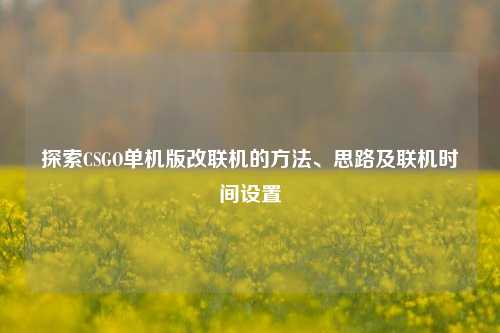 探索CSGO单机版改联机的方法、思路及联机时间设置