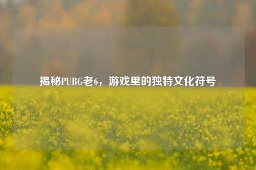 揭秘PUBG老6，游戏里的独特文化符号