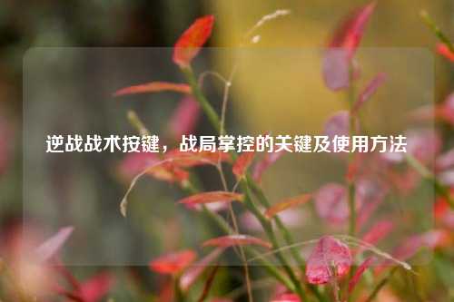 逆战战术按键，战局掌控的关键及使用方法